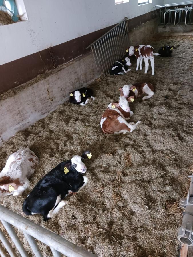 הוכפילזן Ferienwohnung Eder מראה חיצוני תמונה
